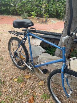 Schwinn cruiser