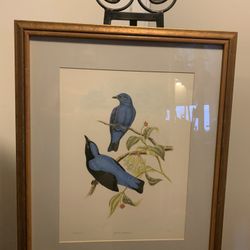 Blue Bird Home Decor