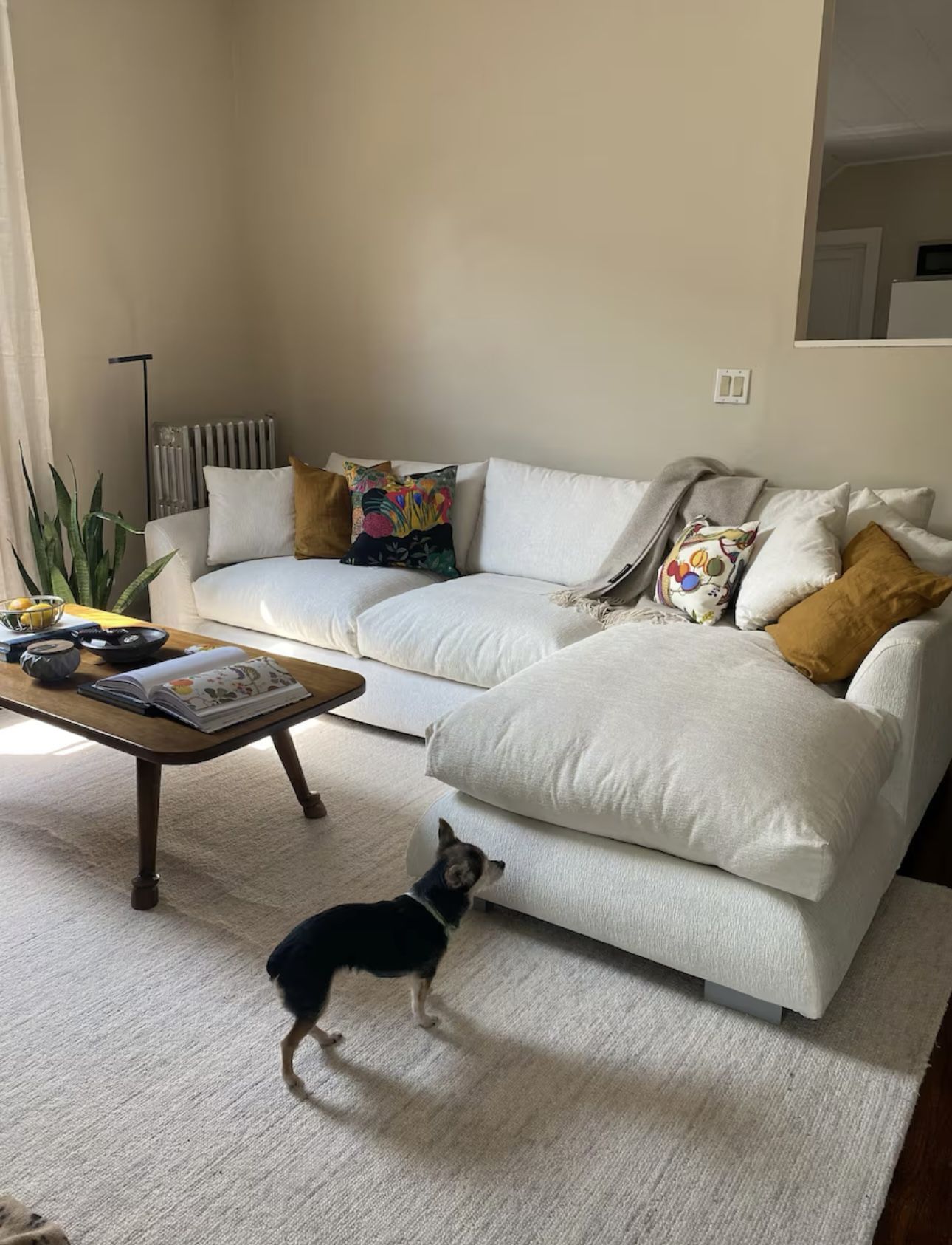 Sofa Couch ( Delivery Available ) 