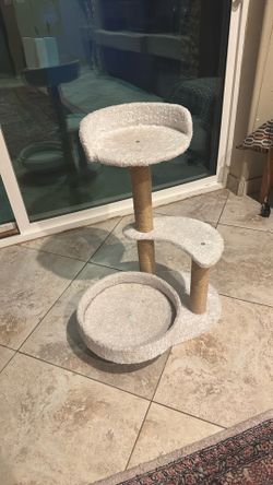 Cat Tree Or Cat Condo