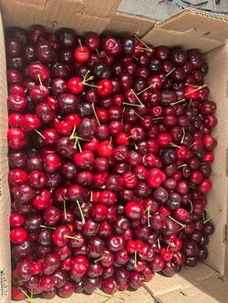 Fresh 18lbs red cherry, ready for pick up in Hayward