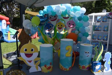 Baby Shark Theme Back Drop 