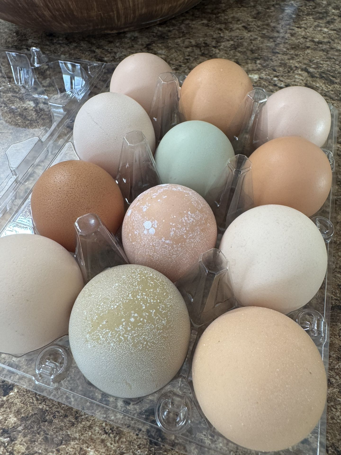 Daily Fresh Organic Eggs