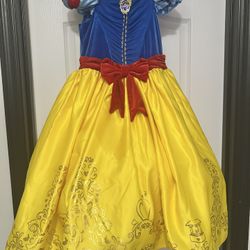Disney Snow White Costume