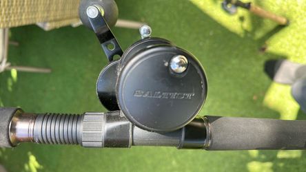 Daiwa saltiest fishing reel ld20h with daiwa rod