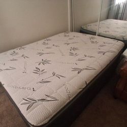 Bed Mattress Bed Frame And Box Spring
