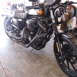 2022 Harley Davidson Sportster 883