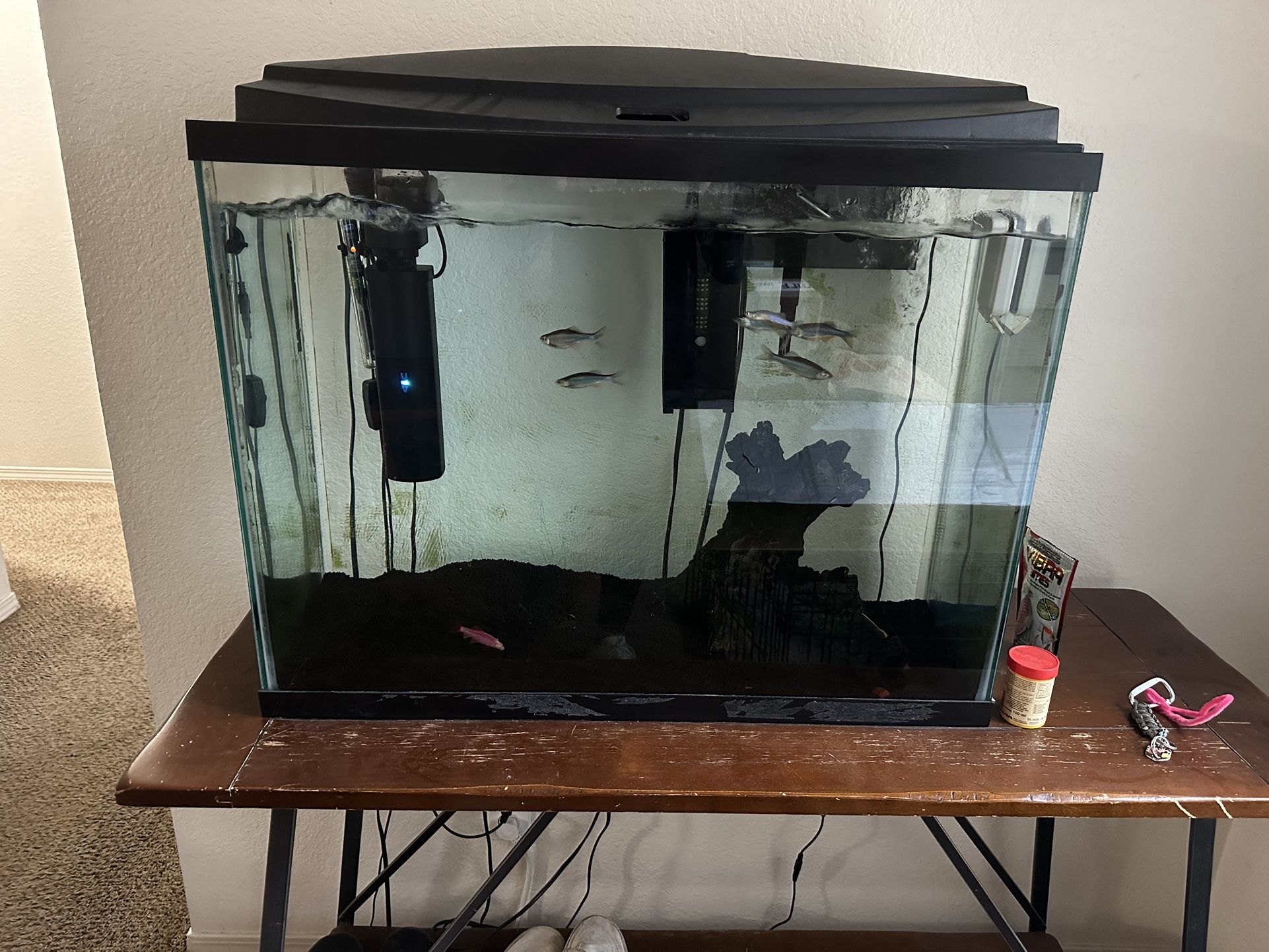 40 Gallon Aquarium
