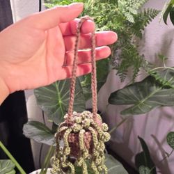 Crochet Hanging Plant 