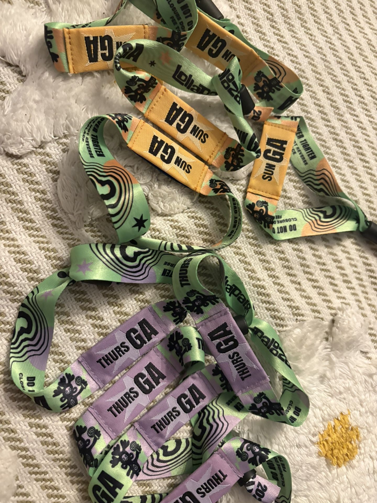 Lollapalooza 2025 General Admission Tickets
