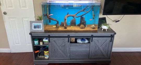 Fish Tanks