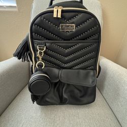 Itzy Ritzy Diaper Bag