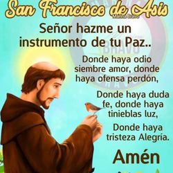 Se Hacen Viajes Al Aeropuerto 