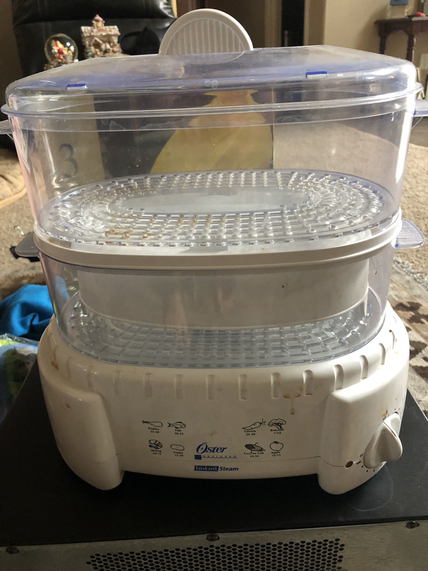 Oster Instant Steam Steamer
