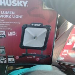 Husky 5000  Lumen Led Work  Light And 10000 Utility Light  New 