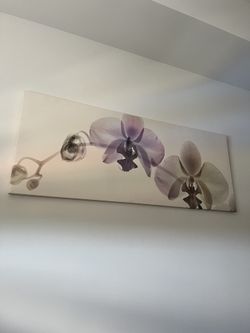 Floral Wall Art
