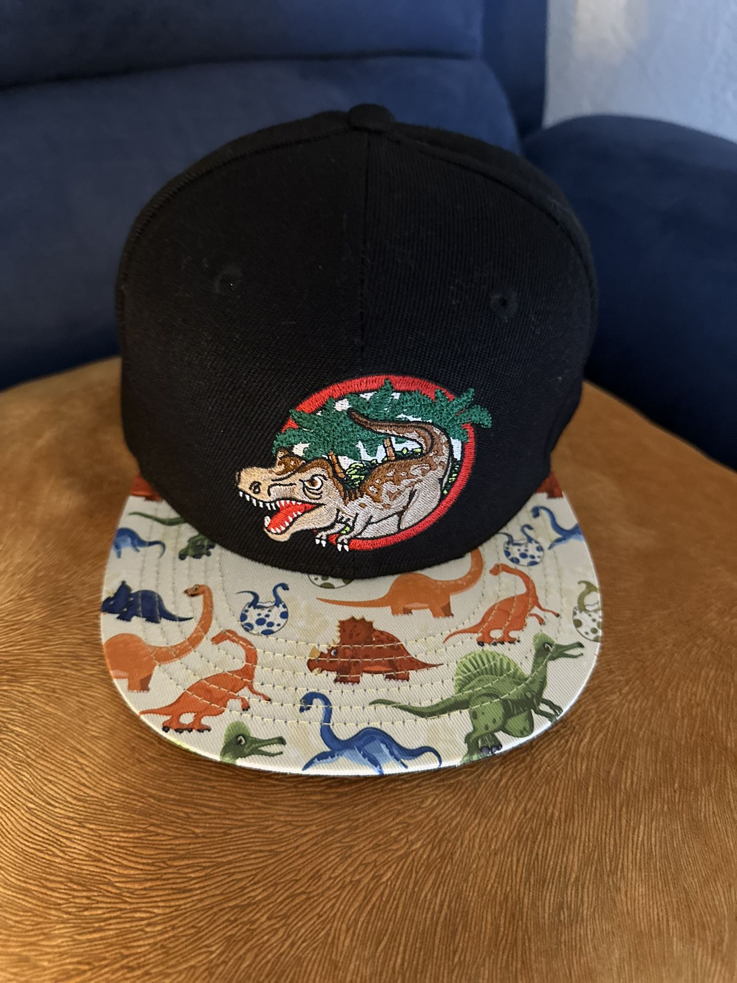 Boys'Dinosaur Baseball Hat Kids Youth Snapback Cap Black
