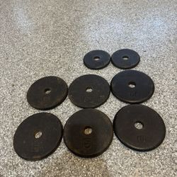 Workout Weight Plates