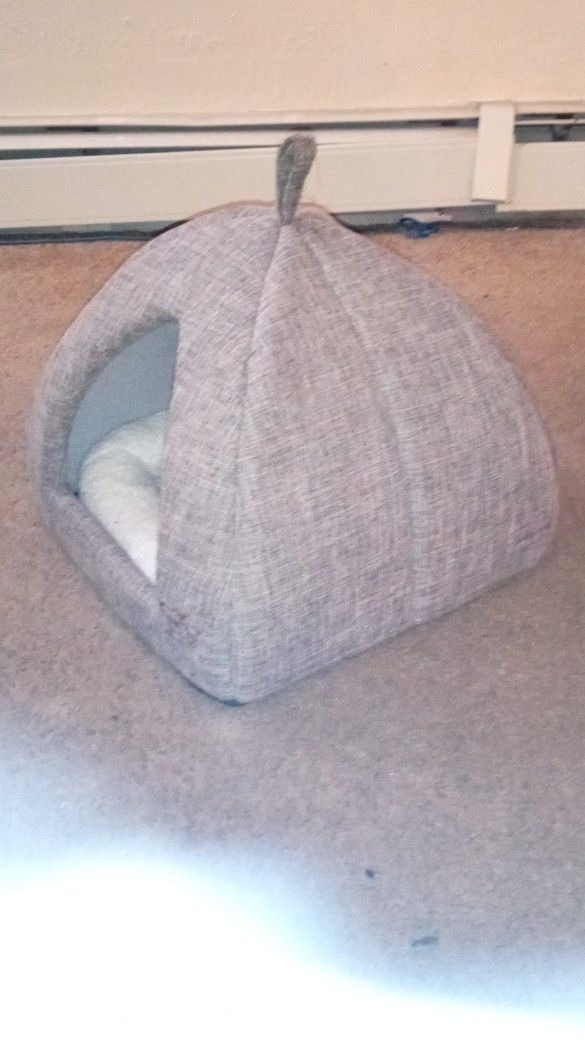 Doggy House/Carriage