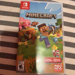 Minecraft Nintendo Game