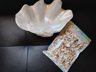 Shell with bag of Mini Seashells