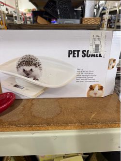 Pet scall