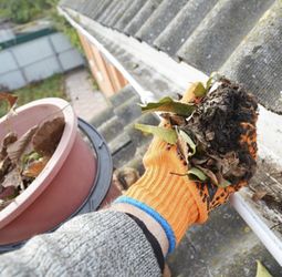 Gutter cleaning and repairs