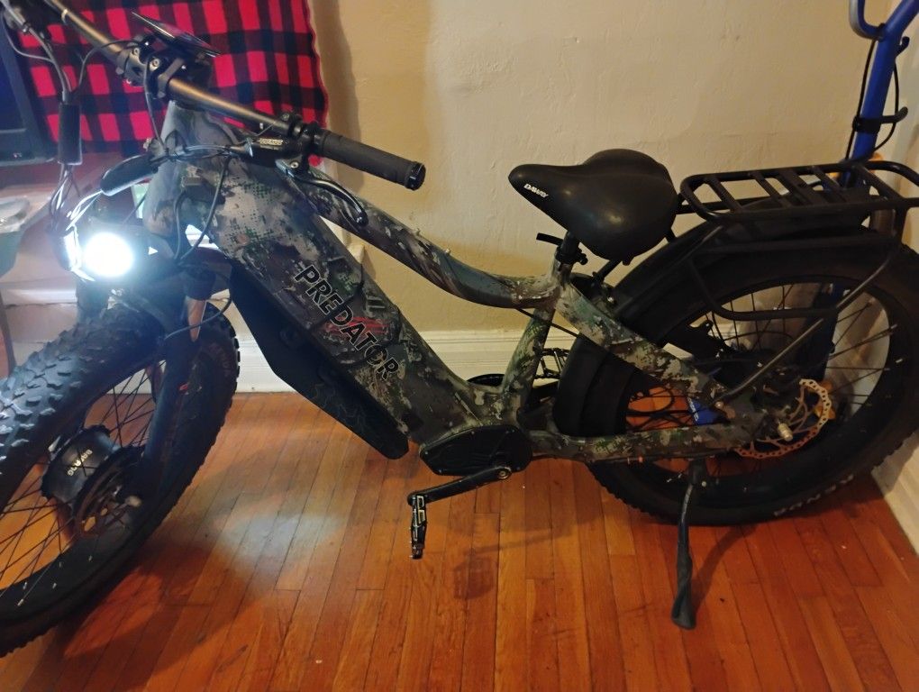 Predator