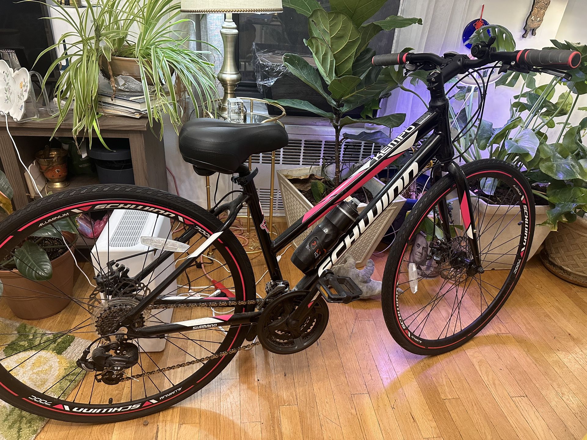 Kempo Hybrid Bike