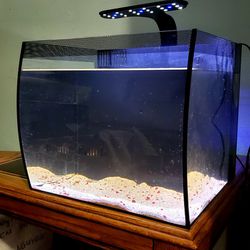 Fish Tank Aquarium 8 Gallon