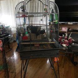 Bird Cage