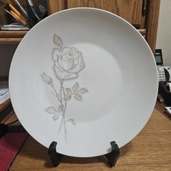 Classic Rose Pattern Rosenthal Set Of 12 Dinner Plates Vintage Mint