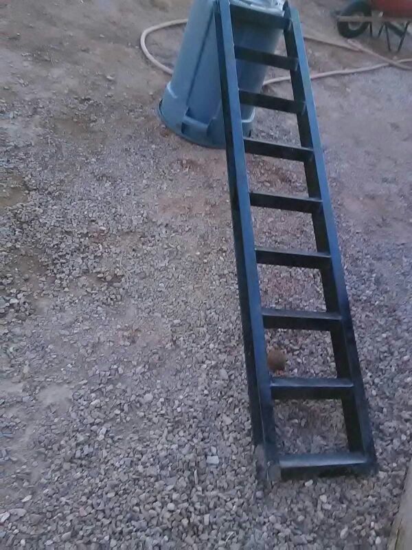 Rampas para subir caros alas trailas