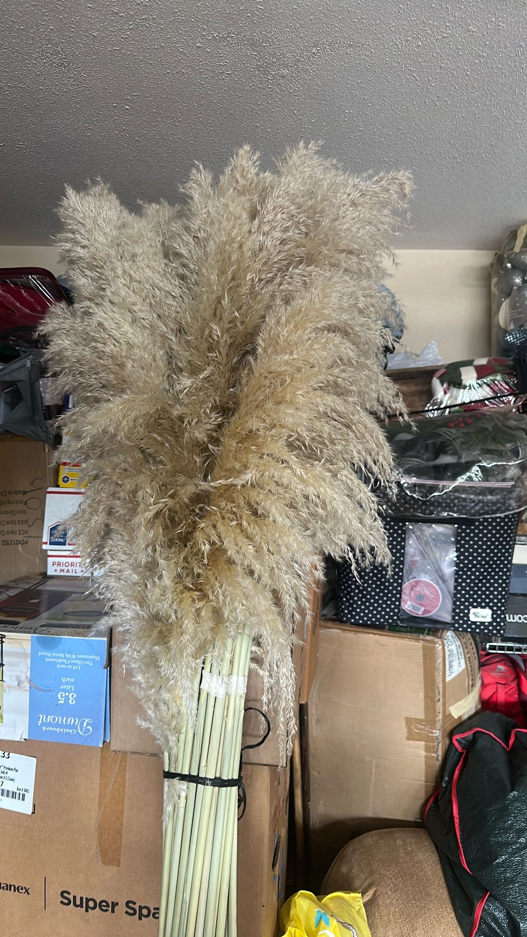 Pampas Secas