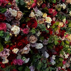 Rose Morning Flower Wall 