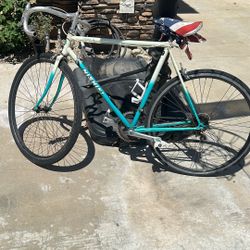 Nishiki Bicycle 26”- 28 