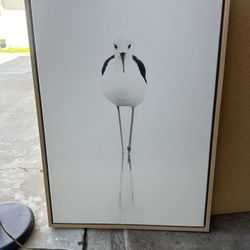 Large Pelican painting 