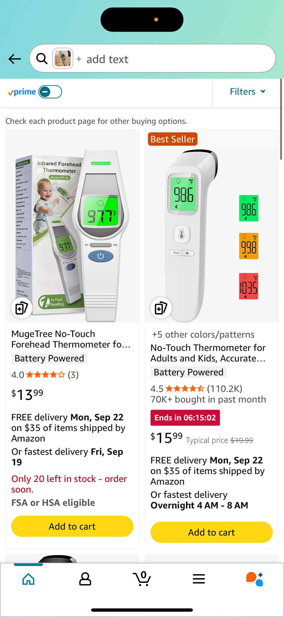 Thermometer