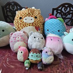 Squishmallow Lot Of 12 
