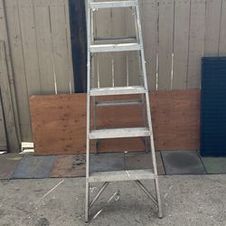 Ladder 🪜 6-Foot 