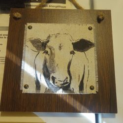 Decorative Cow Signs 
