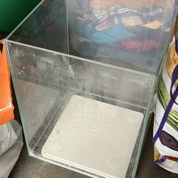 Fish Tank & Accessories 