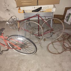 Schwinn Bike Traveler Sport (Authentic)(contact info removed) SN