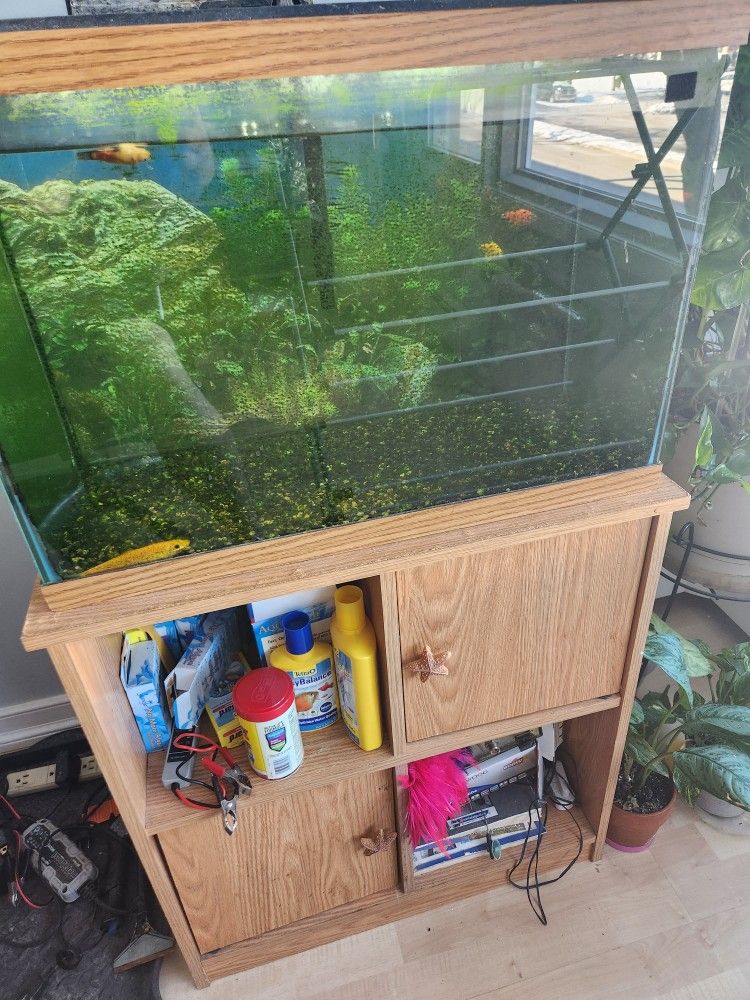 Fish Tank N Stand