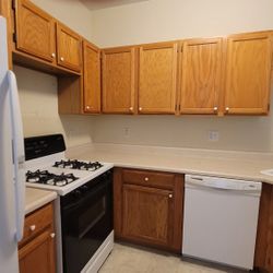 Wood Kitchen Cabinets 