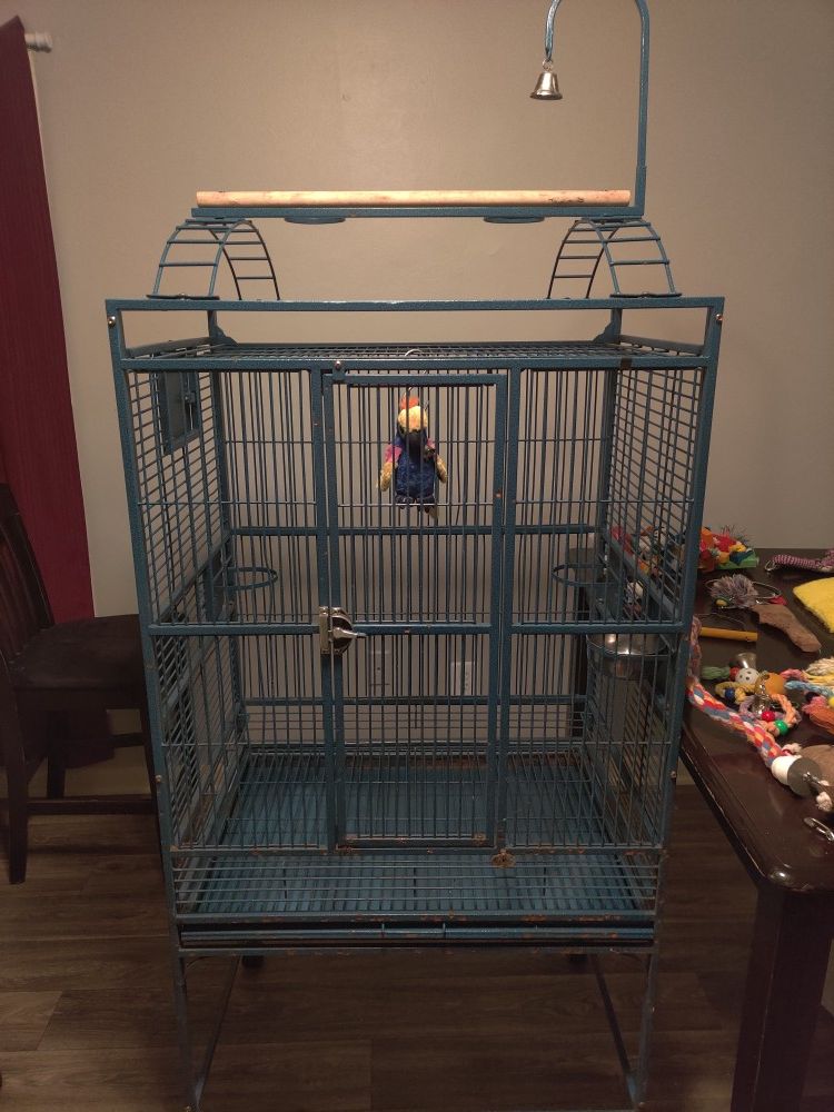 Large parrot cage and accessories!