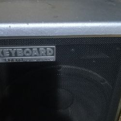 Roland Amps  