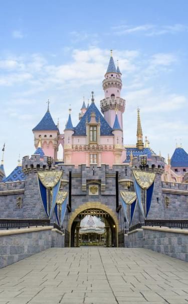 Disneyland Ticket