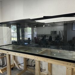 375 Gallon Aquarium / Fish Tank