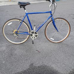 Trek Bicycle
